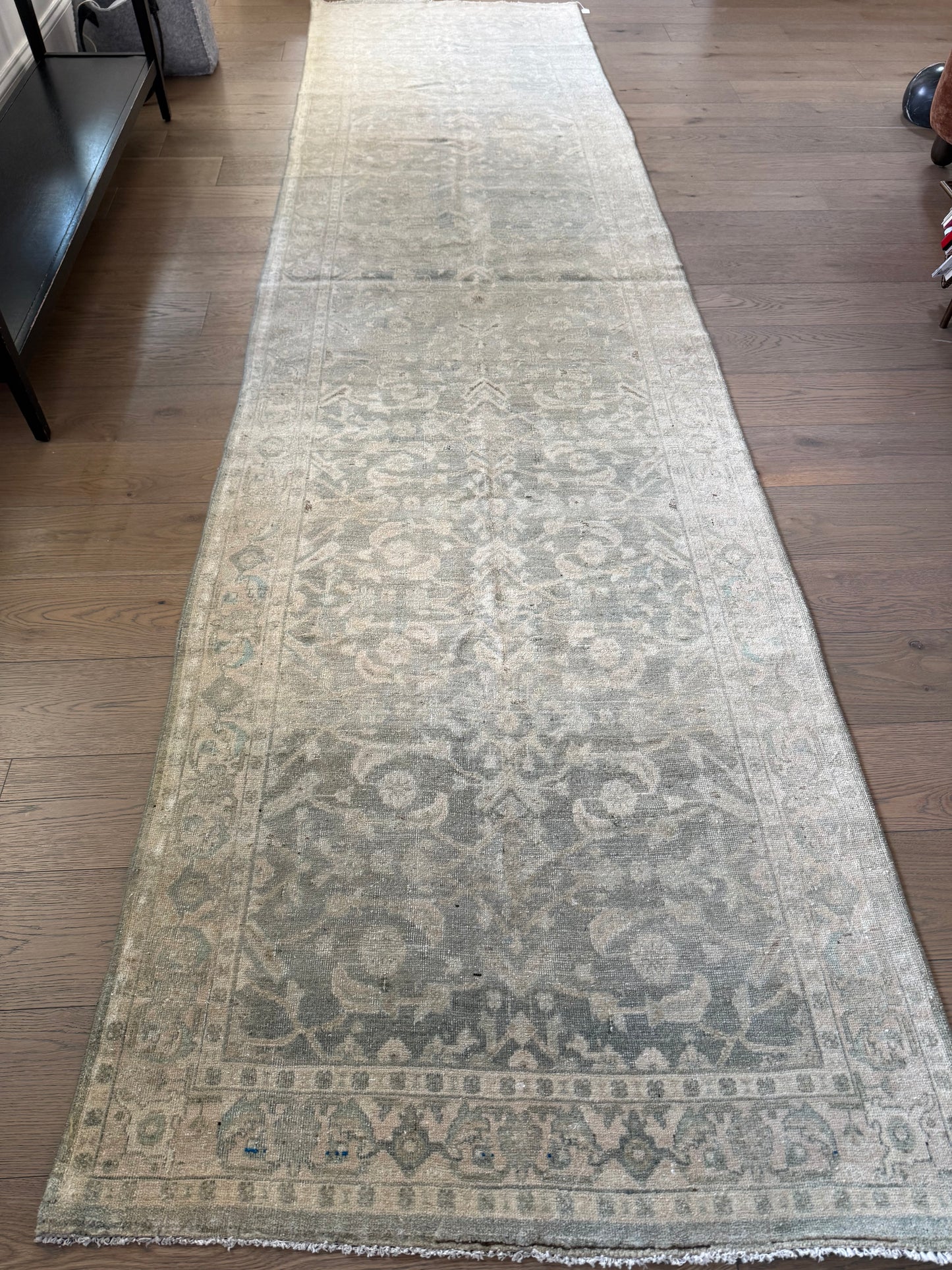 Coastal - 3’3 x 12’9