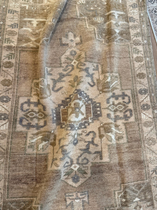 Benji - 3’8 x 5’7