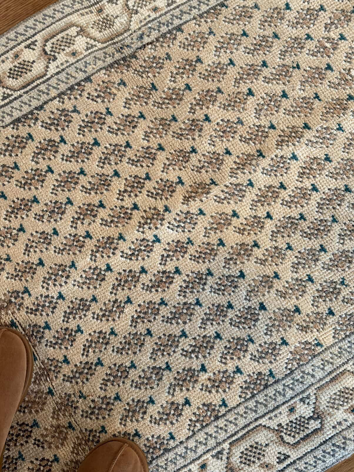 Collins - 2’11 x 5’