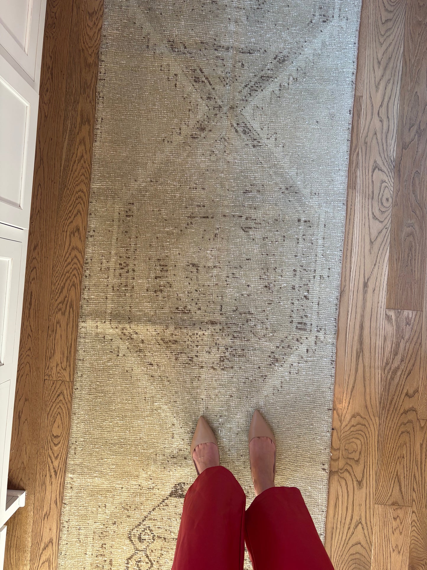 Archie - 2’11 x 12’2