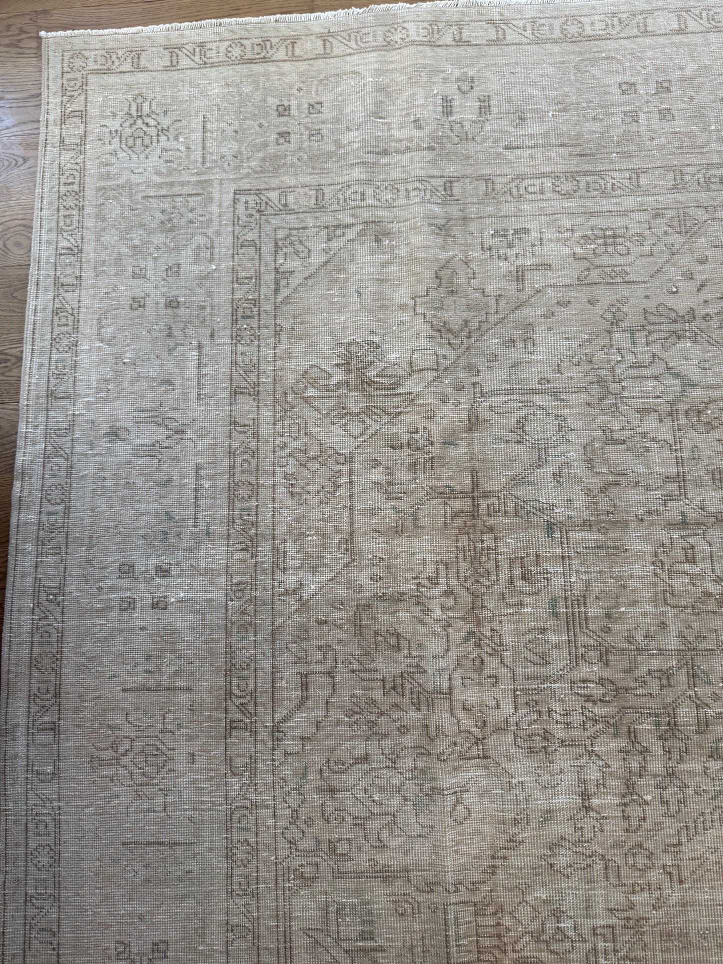 Isabel - 9’4 x 12’4