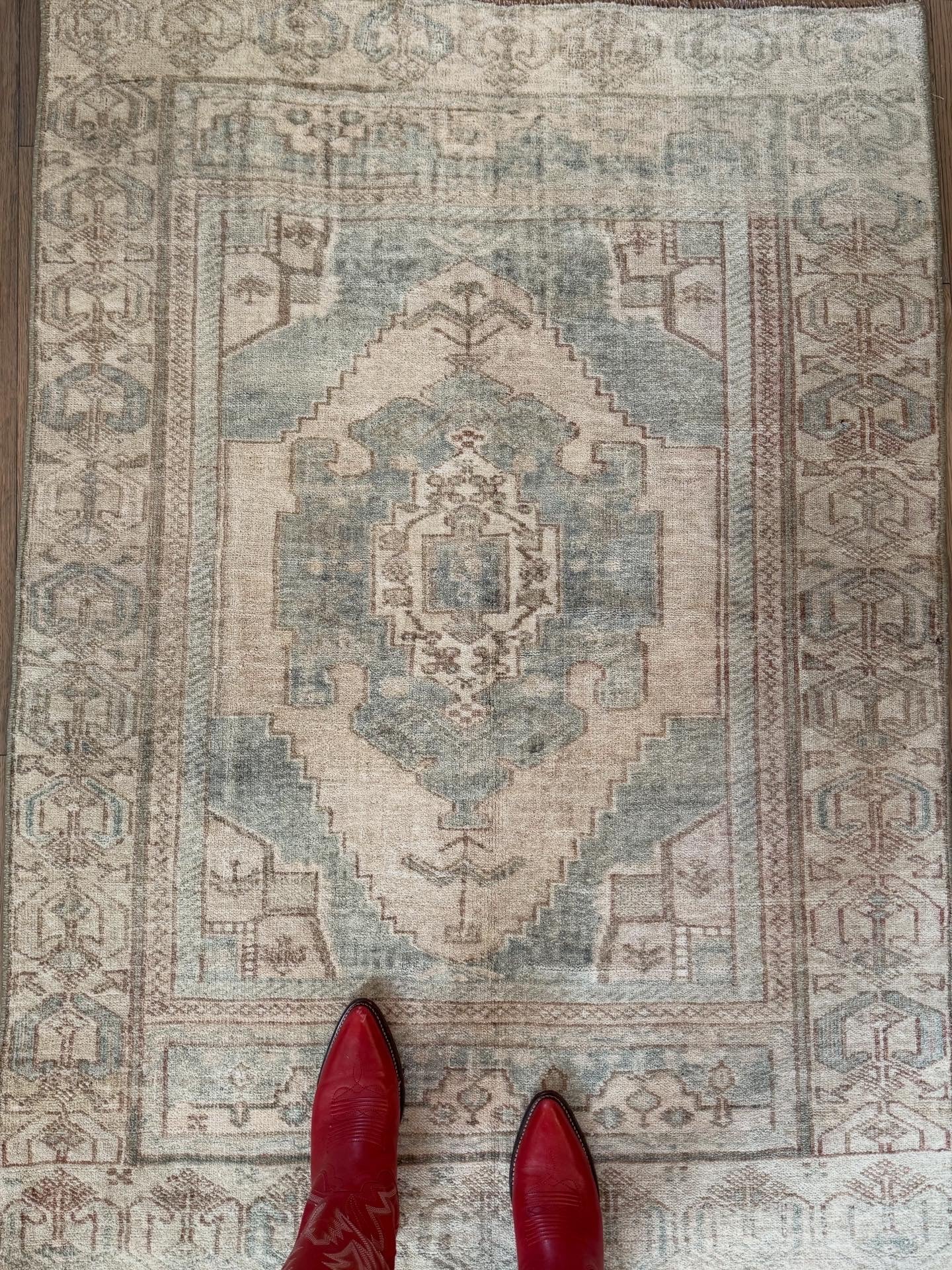 Charlotte - 3’5 x 4’10