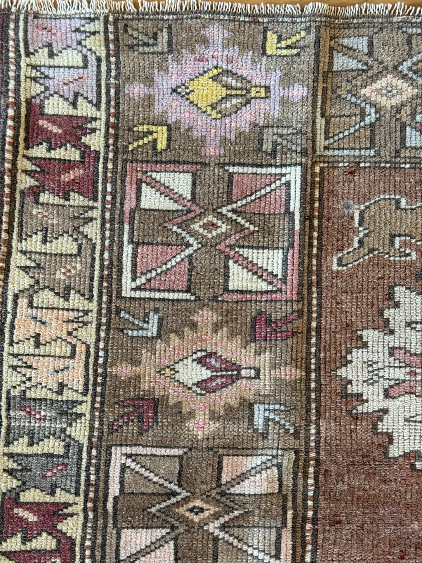 Alex - 3’11.5 x 6’3