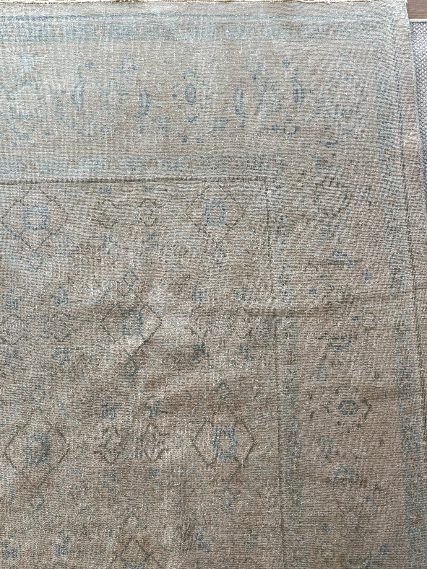 Blossom - 9’8 x 13’2