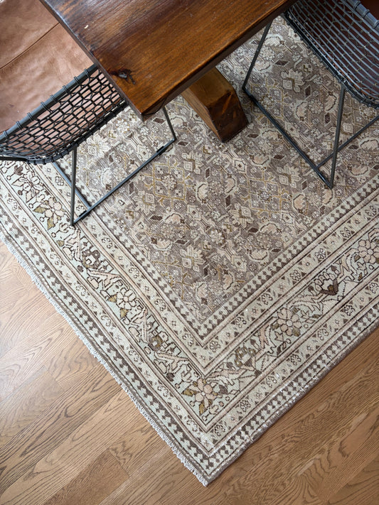 Alex - 7’9 x 10’10