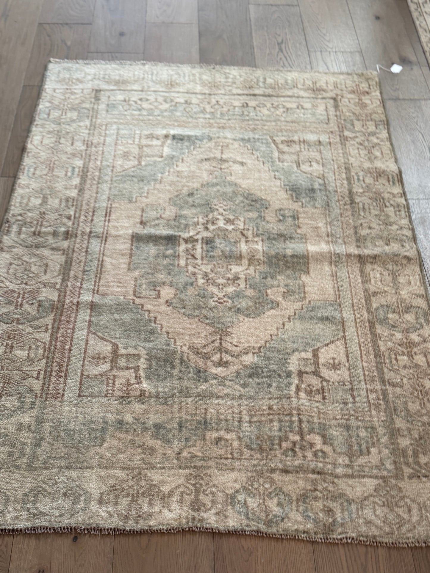 Charlotte - 3’5 x 4’10