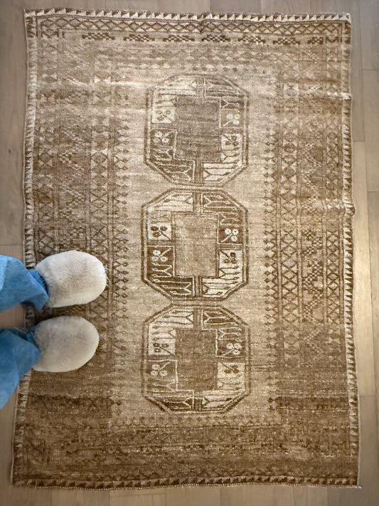 Sue Ann - 3’8 x 5’3