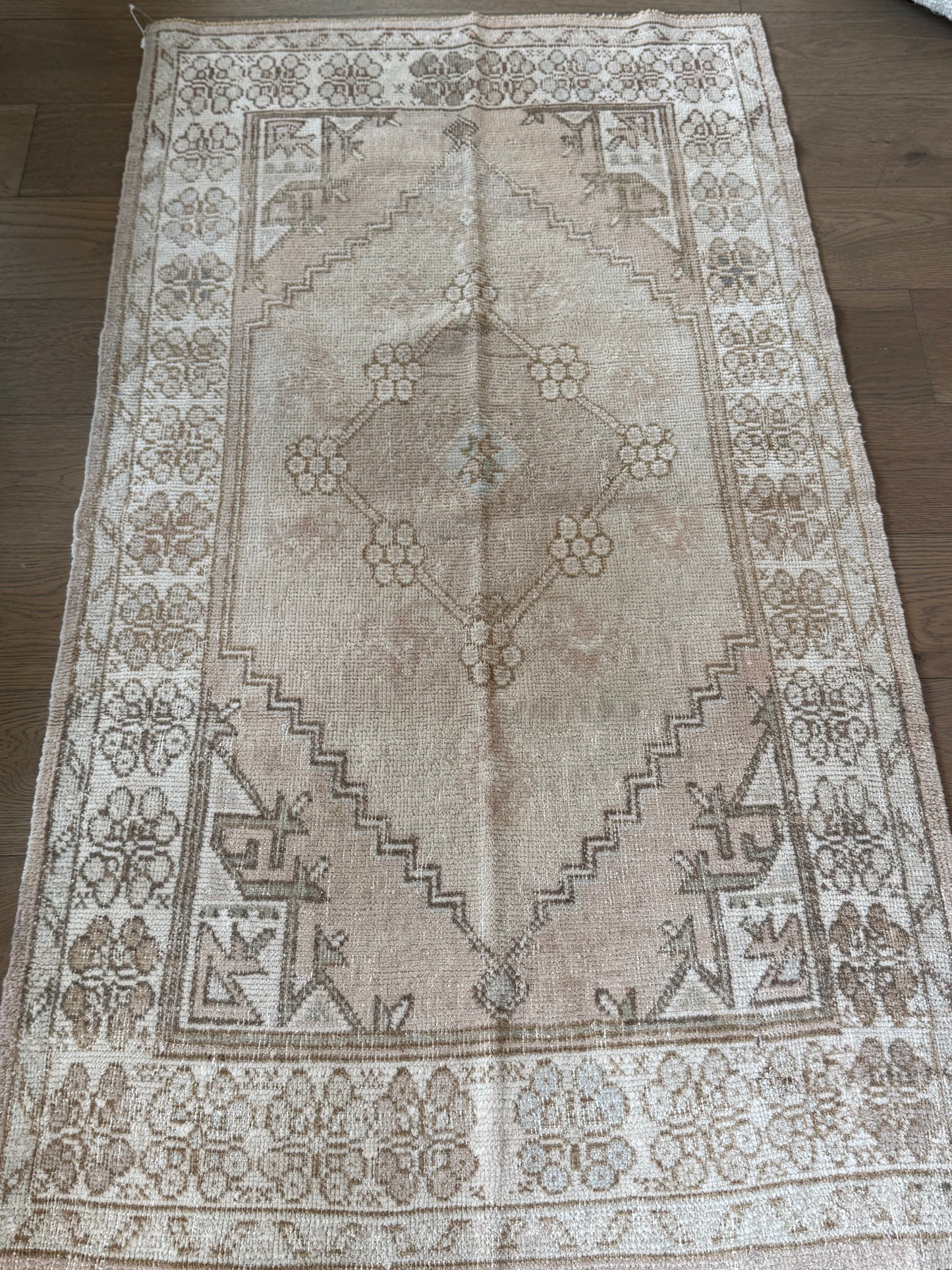 Adelaide - 2’11 x 5’4