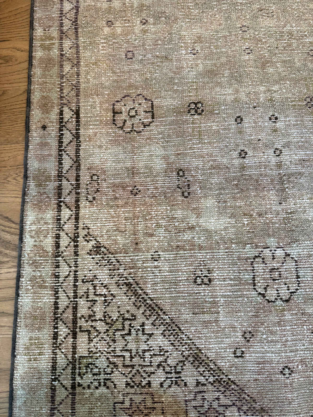 Haddie - 3’1 x 12’10