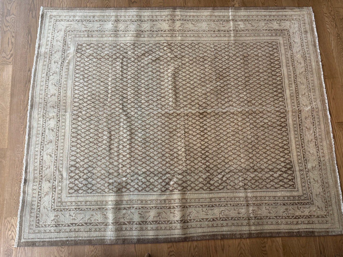 Walker - 6’11 x 8’6