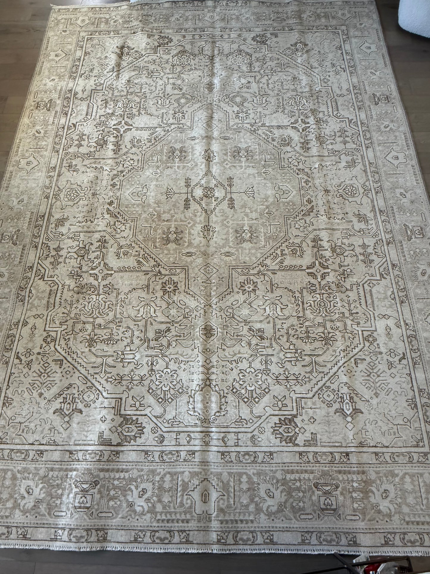 Quinn - 9’2 x 12’9