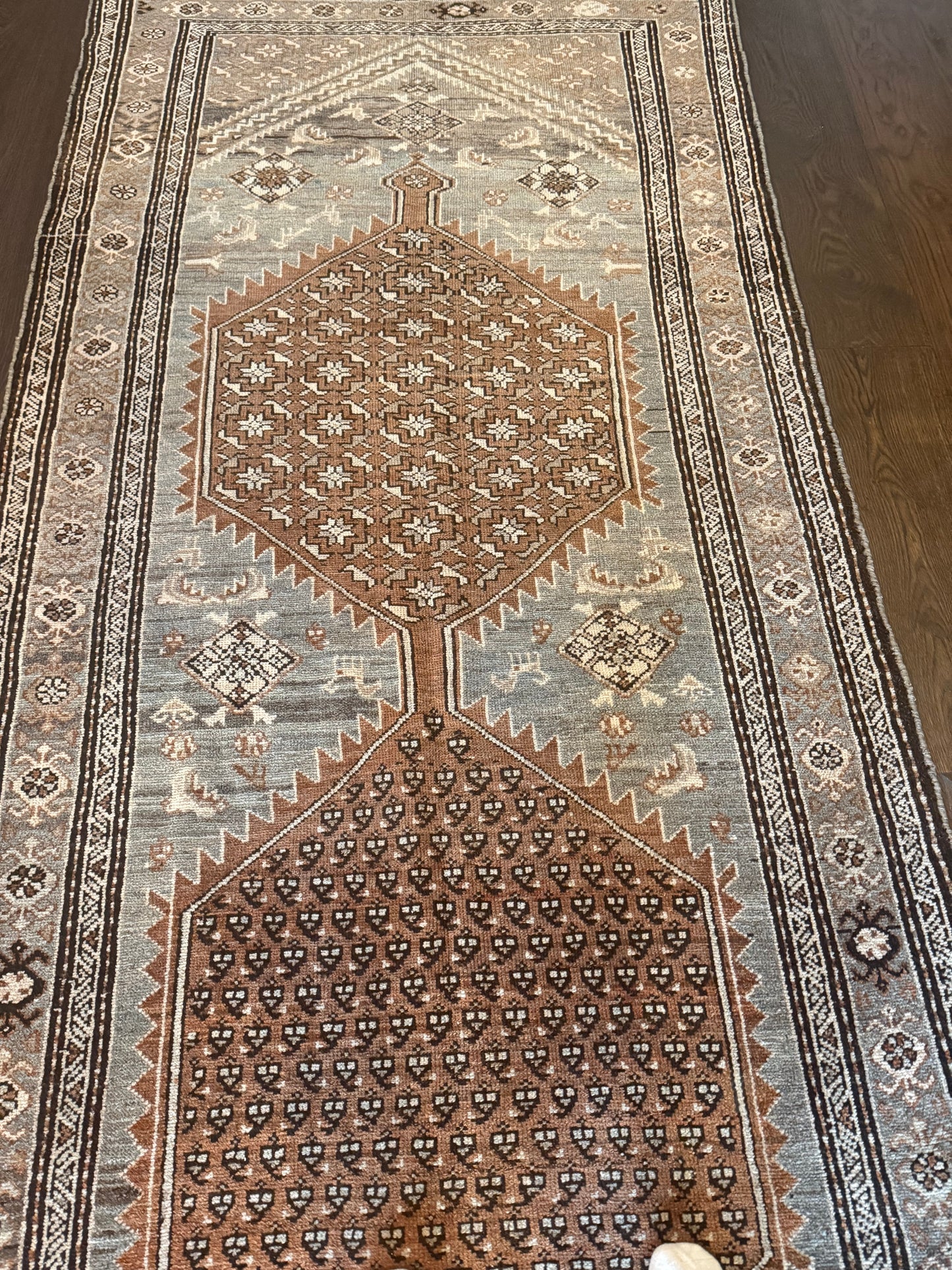 Cleo - 4’2 x 12’10