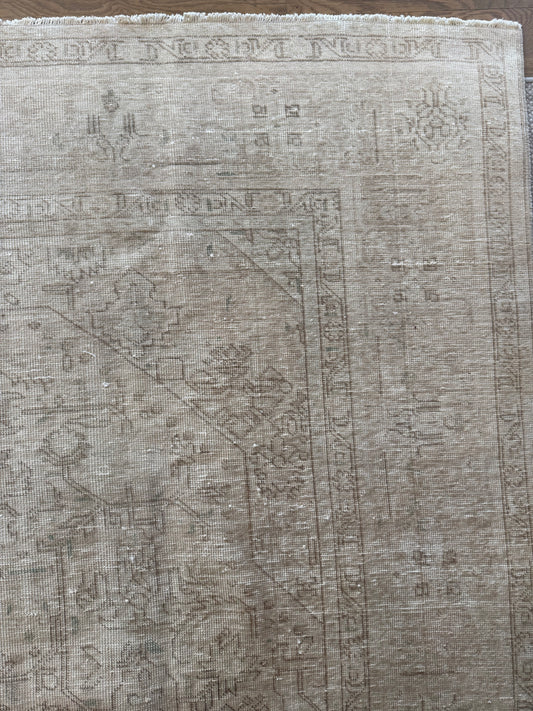 Isabel - 9’4 x 12’4