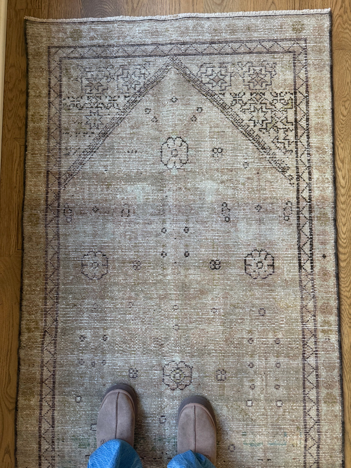 Haddie - 3’1 x 12’10