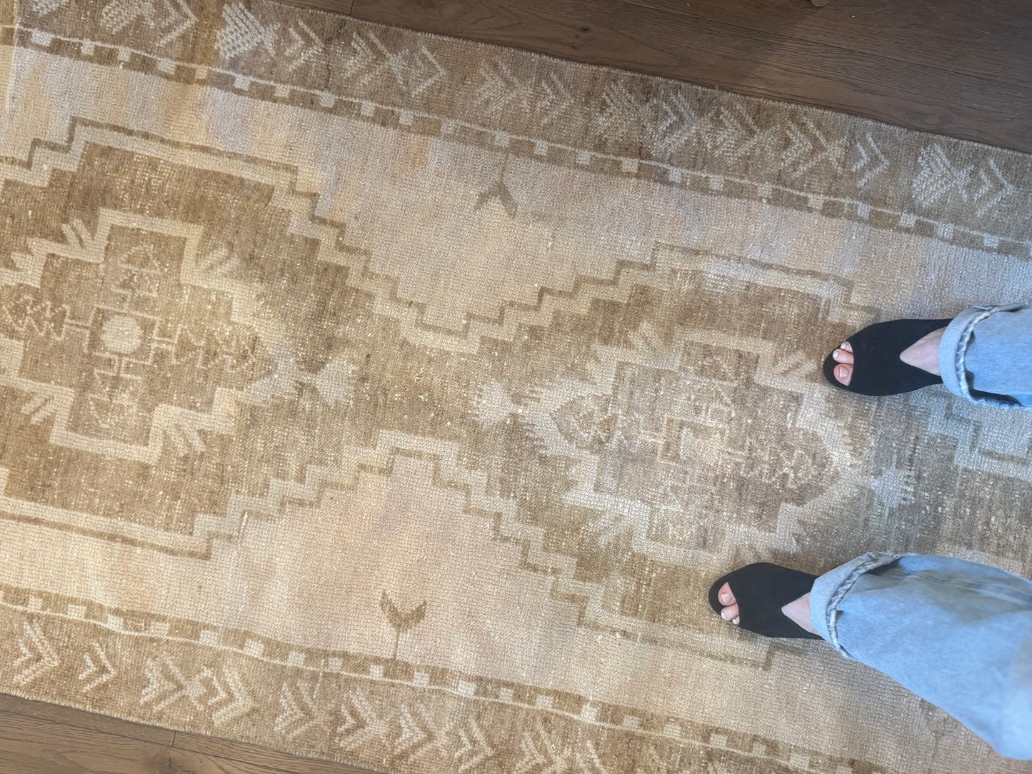 Betsy - 3’ x 11’