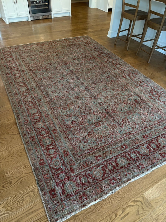 Daphne - 6’9 x 10’6