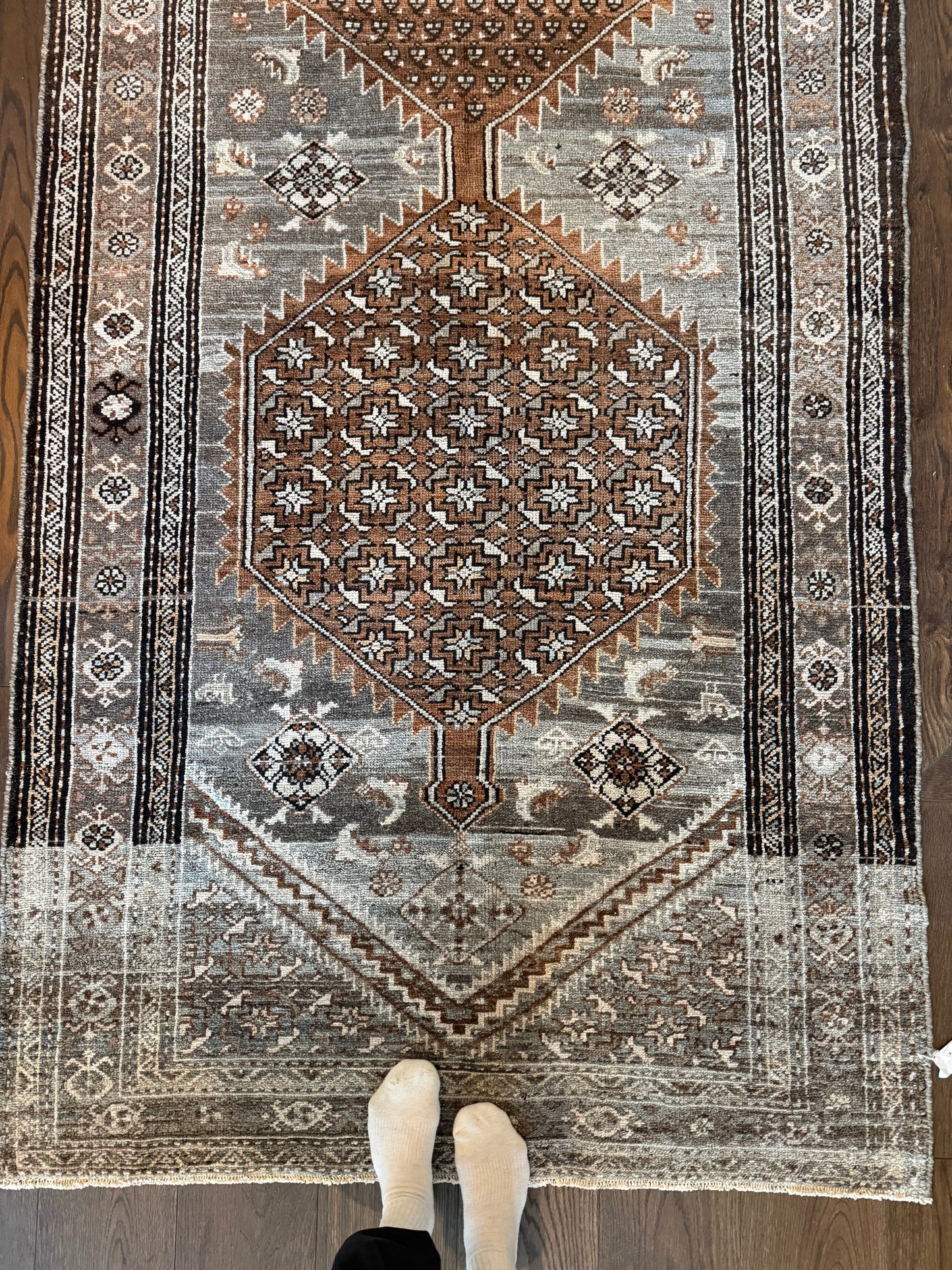 Cleo - 4’2 x 12’10