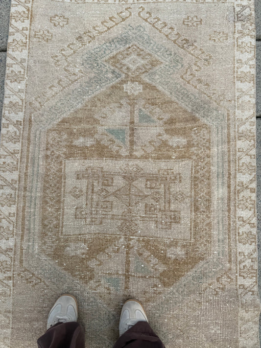 Clemmie - 3’1 x 12’2