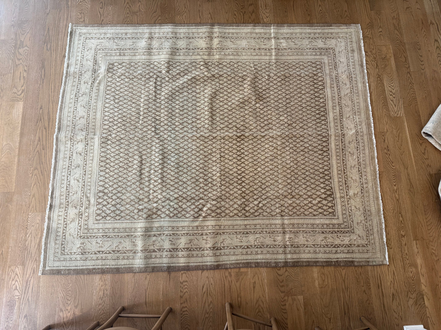 Walker - 6’11 x 8’6