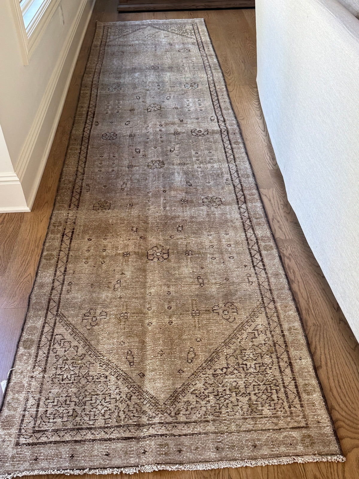 Haddie - 3’1 x 12’10