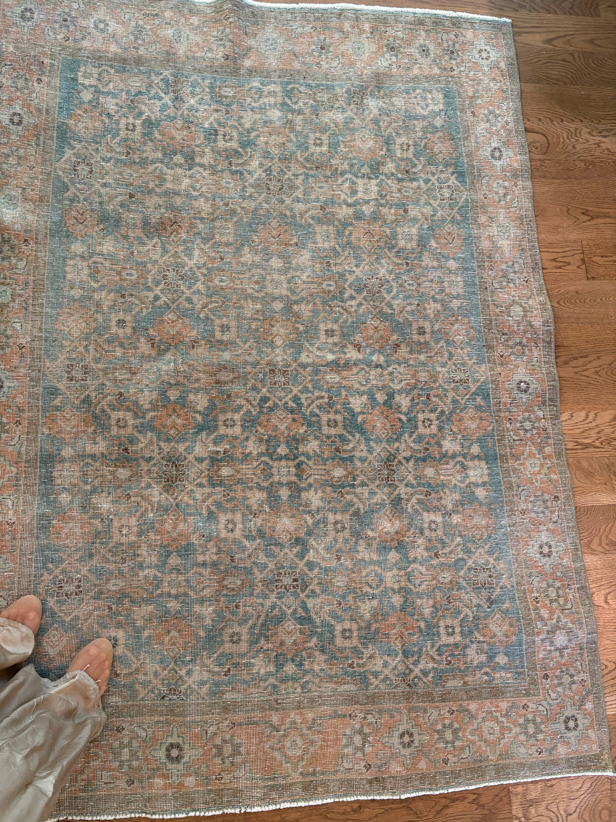 Cyprus Rugs Cyprus - 5'2 x 7 – Lovely Vintage Rug Co.