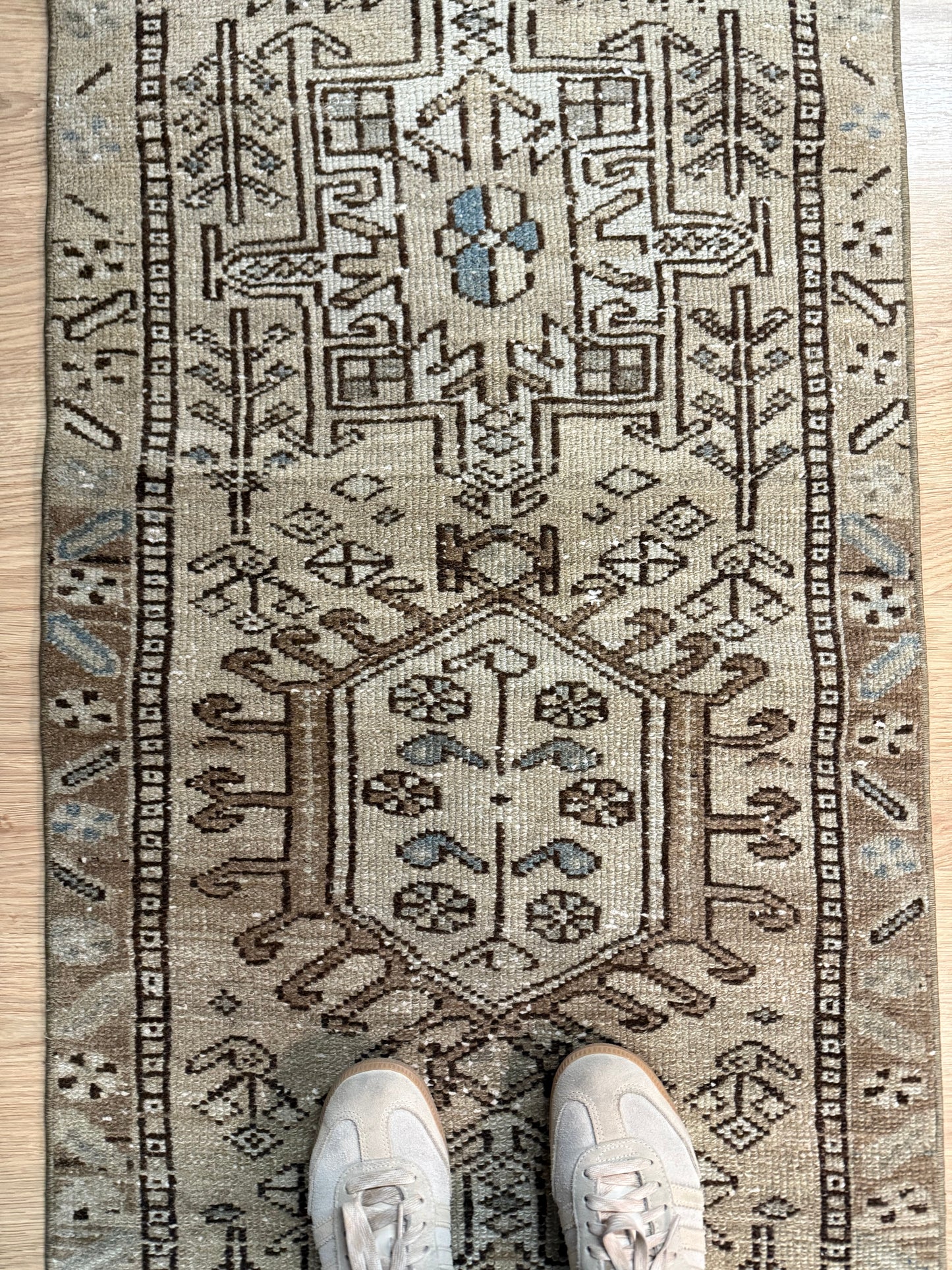 Betsy - 3’ x 11’