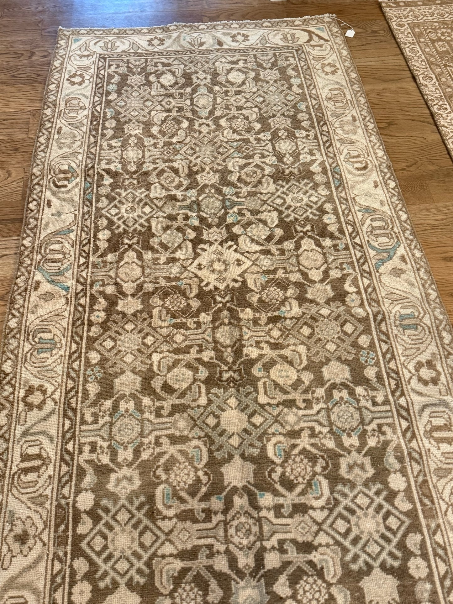 Molly - 3’5 x 12’6