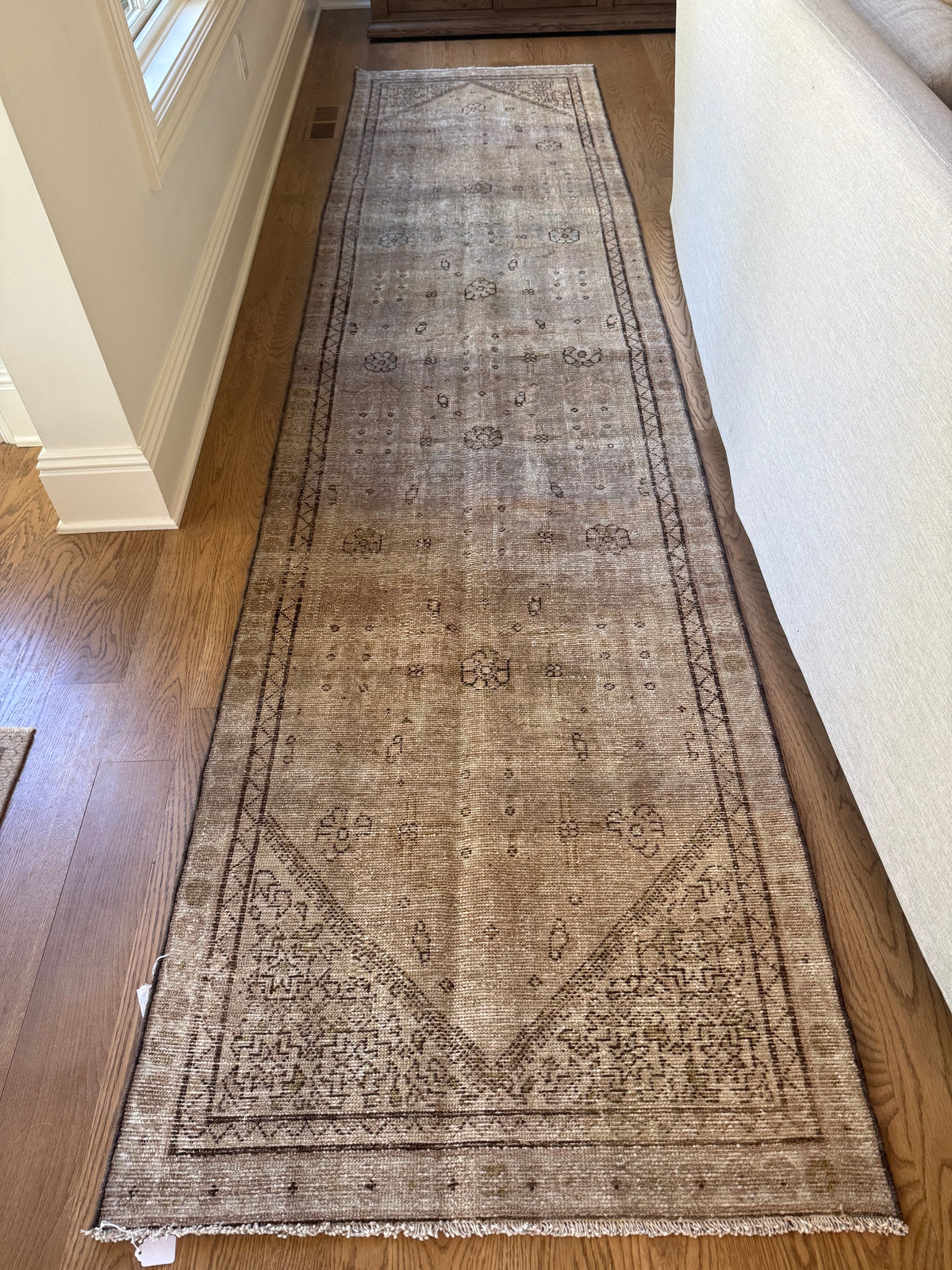 Haddie - 3’1 x 12’10