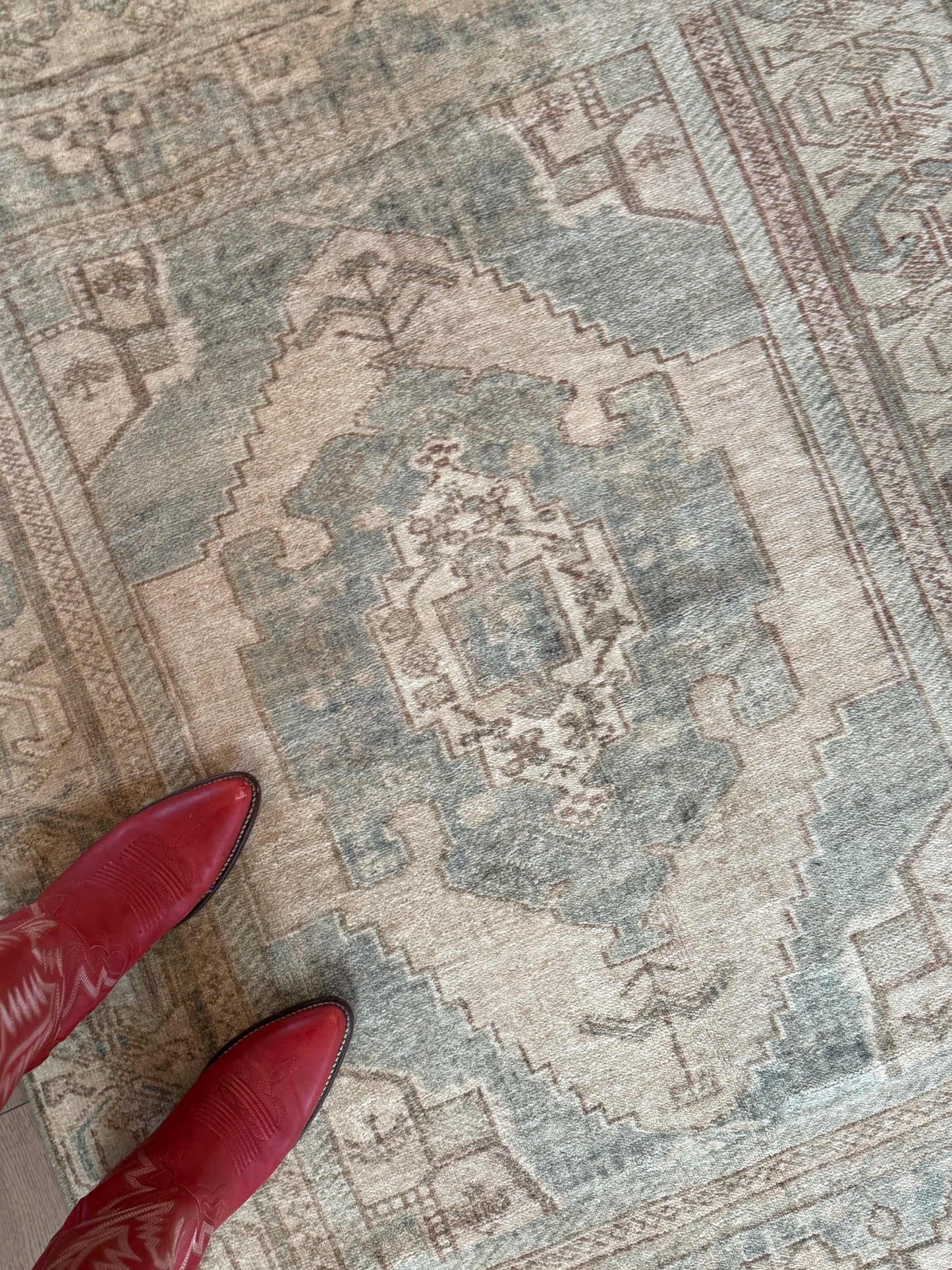 Charlotte - 3’5 x 4’10