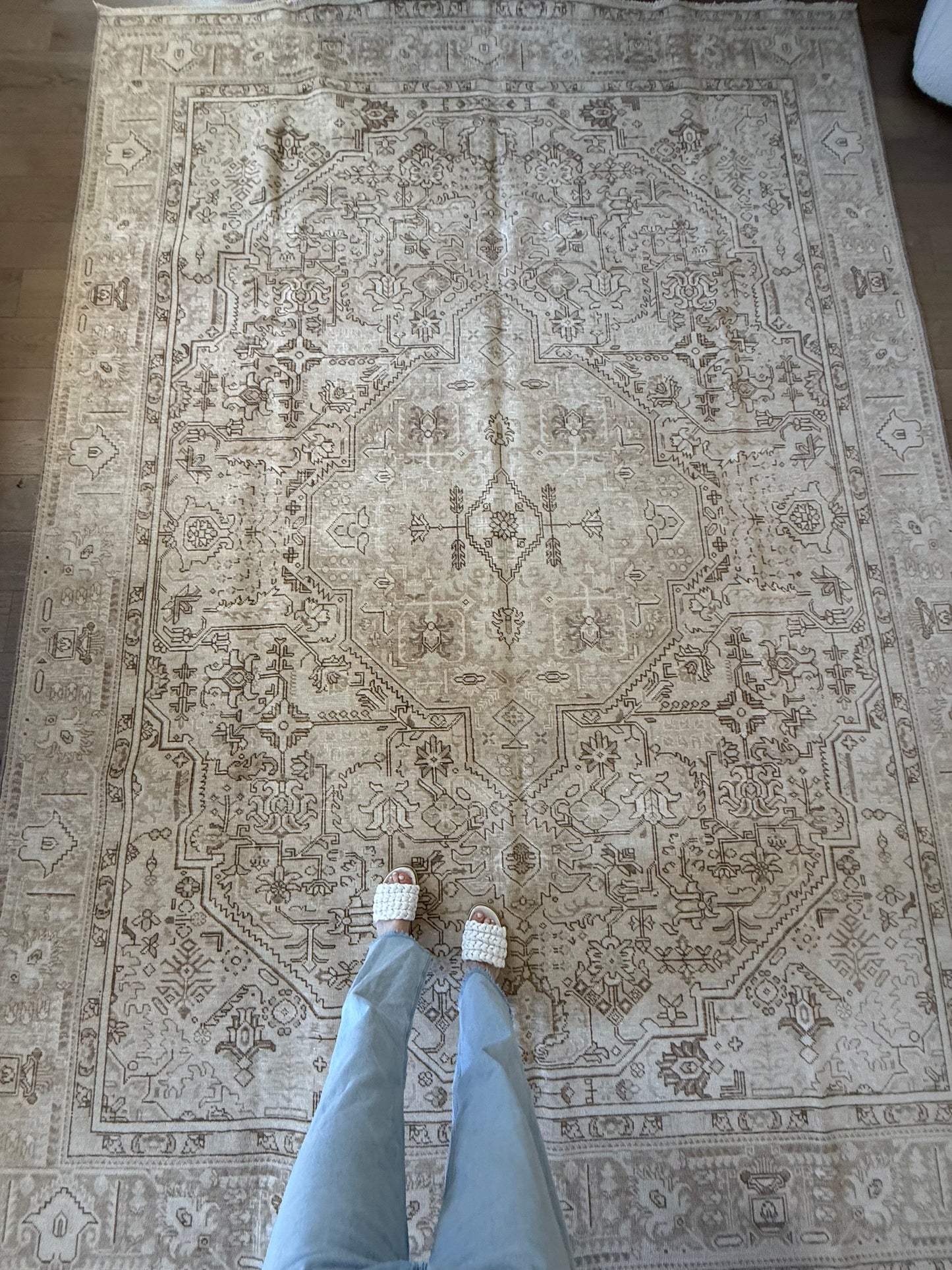 Quinn - 9’2 x 12’9