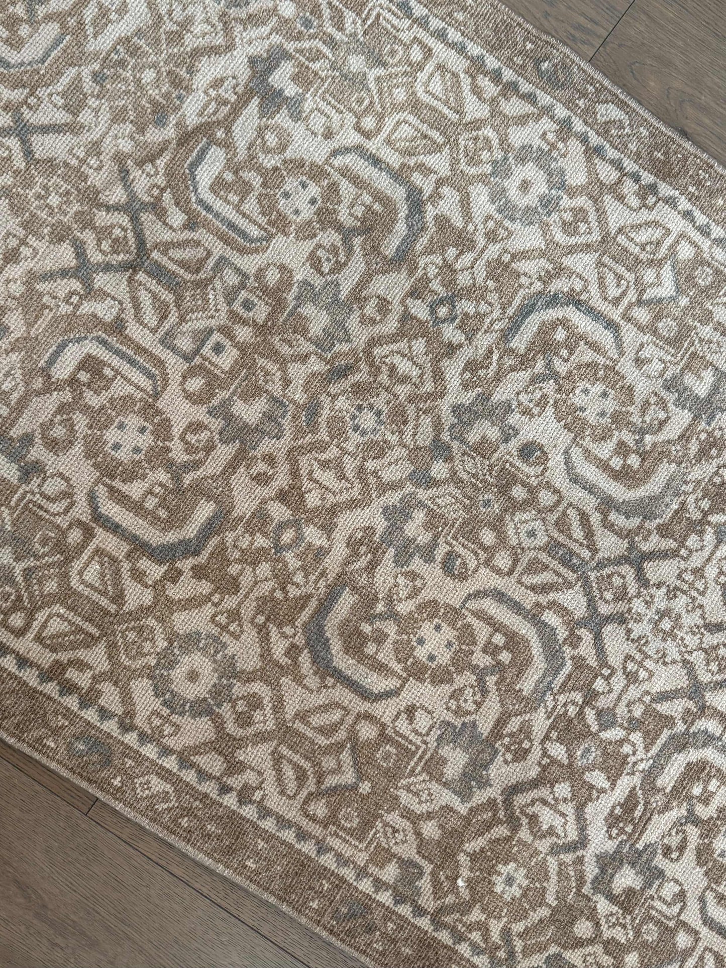 Nala - 2’7 x 8’10