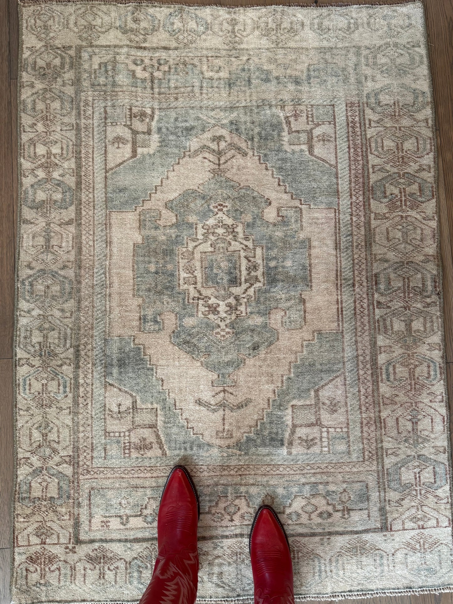 Charlotte - 3’5 x 4’10