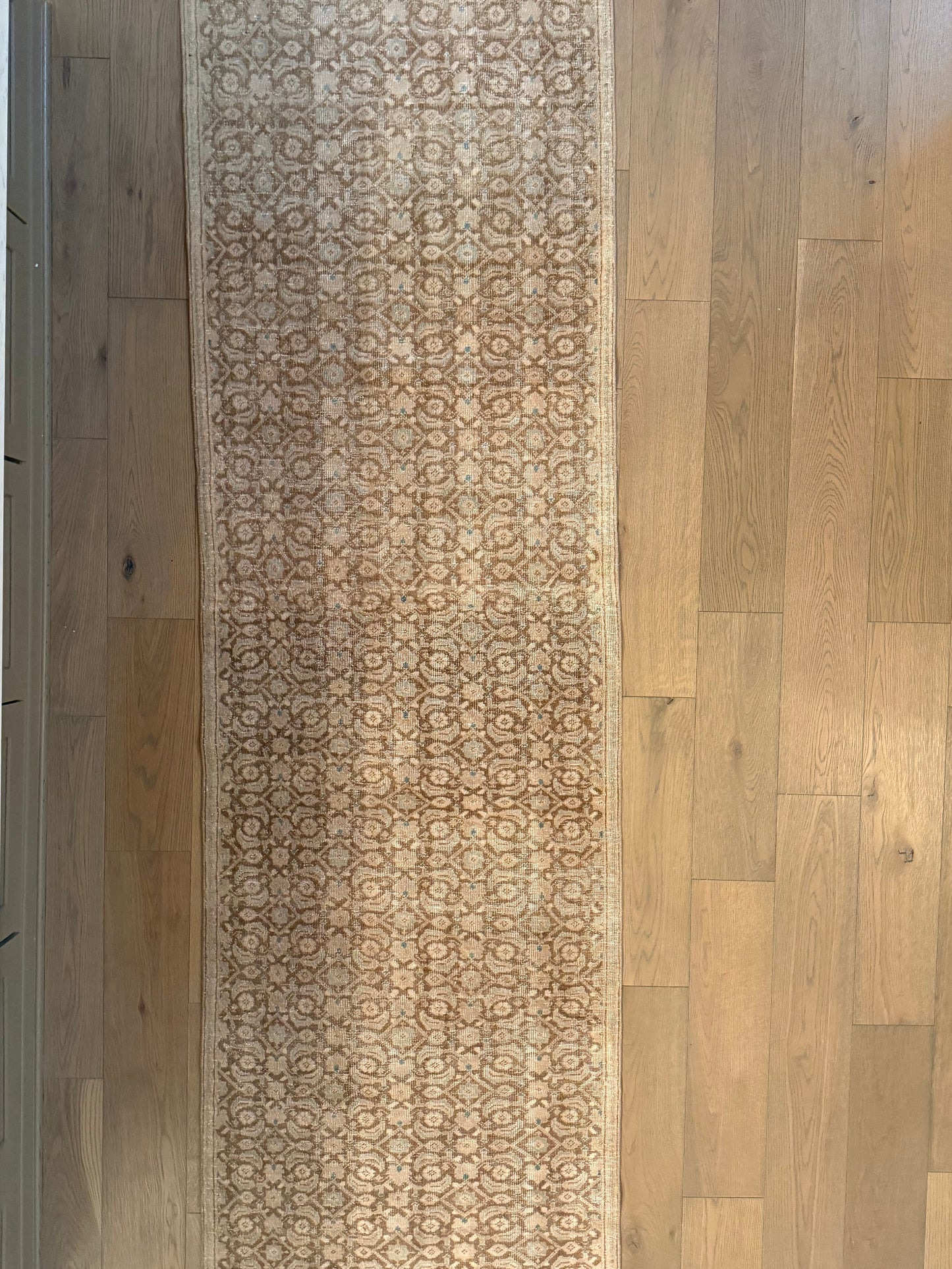 Bernadette - 2’11 x 9’10