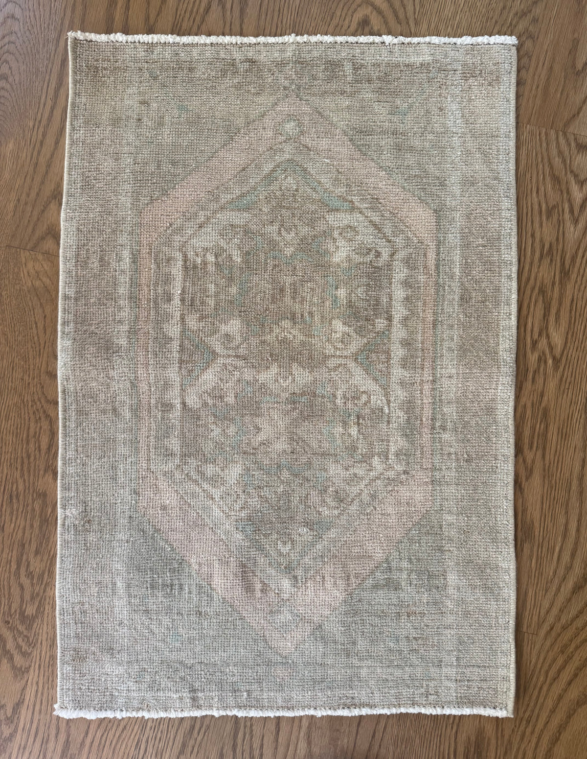 Dear - 19” x 28”