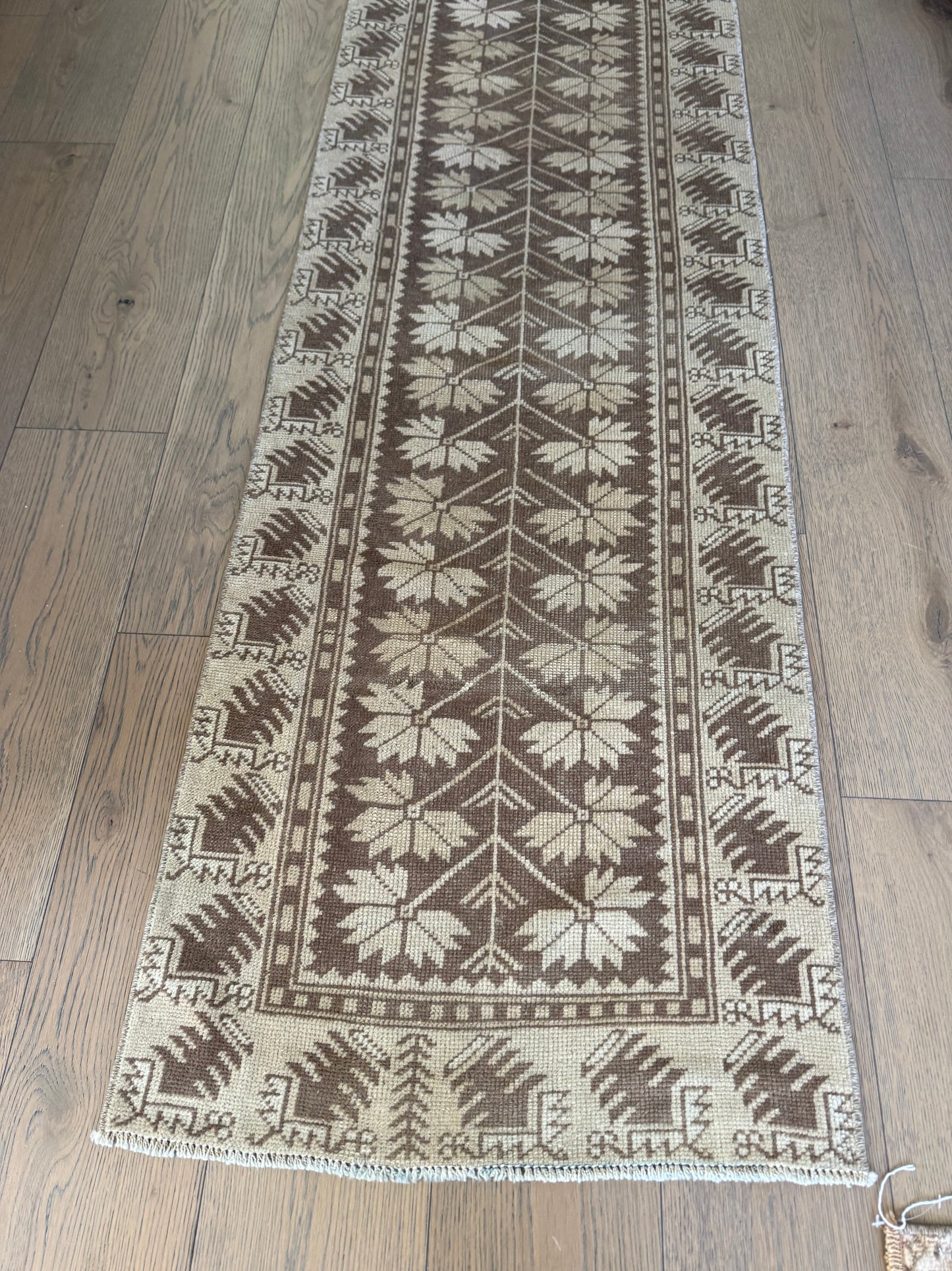 Millie - 2’ x 8’11