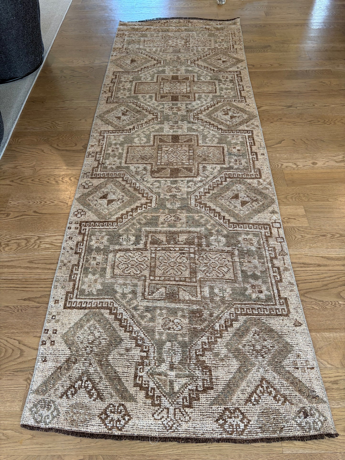 Nessie - 3’4 x 10’2