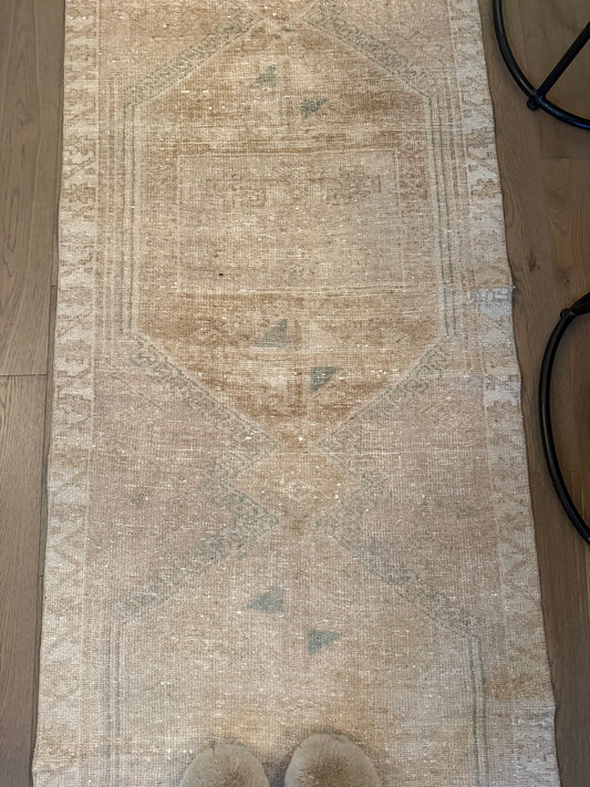 Clemmie - 3’1 x 12’2