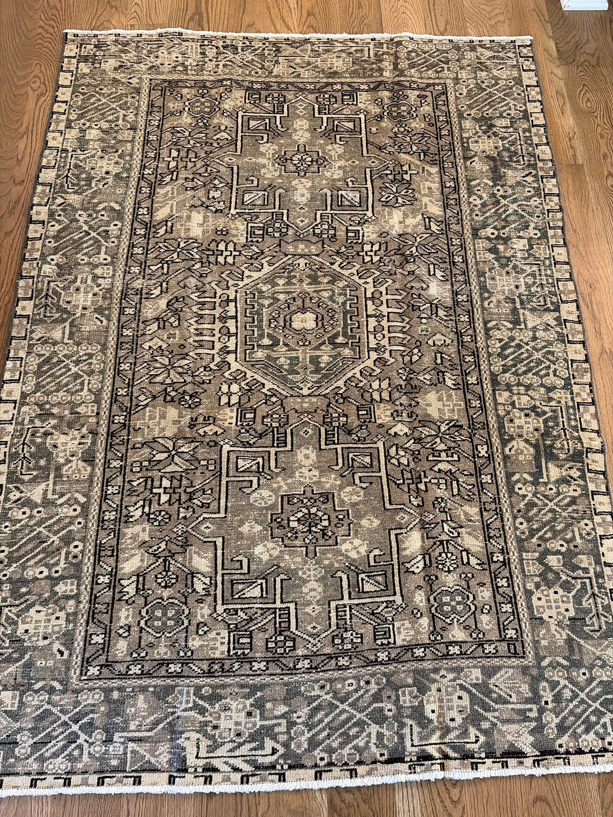 Latte - 4’6 x 6’5