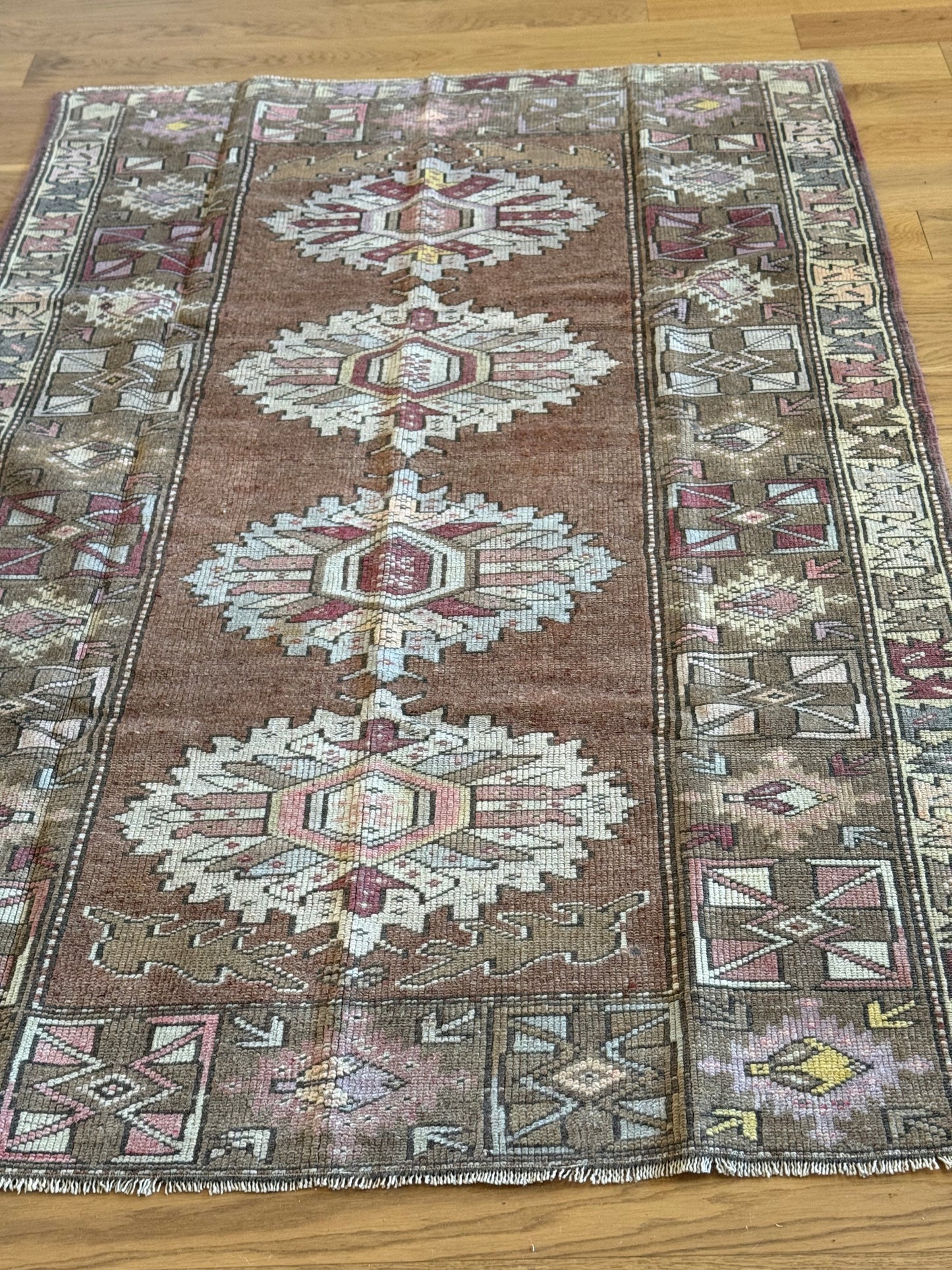 Alex - 3’11.5 x 6’3