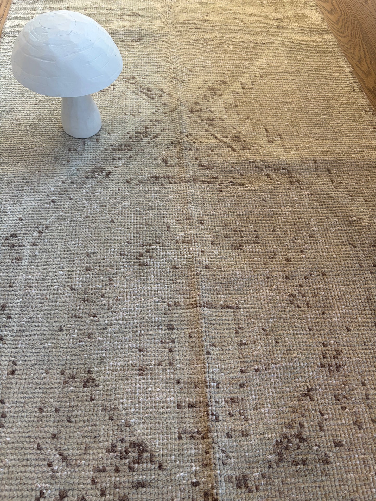 Archie - 2’11 x 12’2