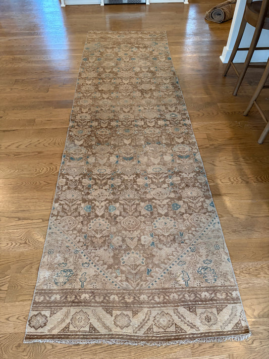 Bluebell - 3’1 x 10’10